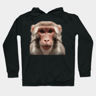 Serious monkey Hoodie